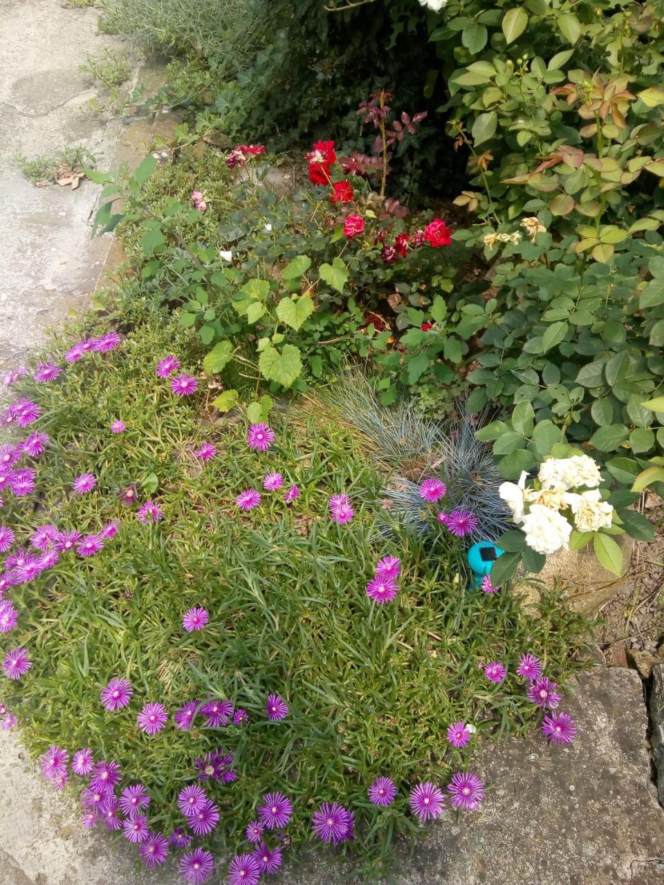 Beograd - Apartman "Gardos" Eksteriør billede